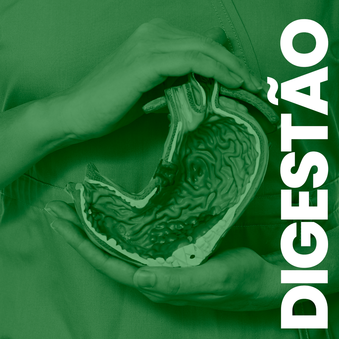 Digestão